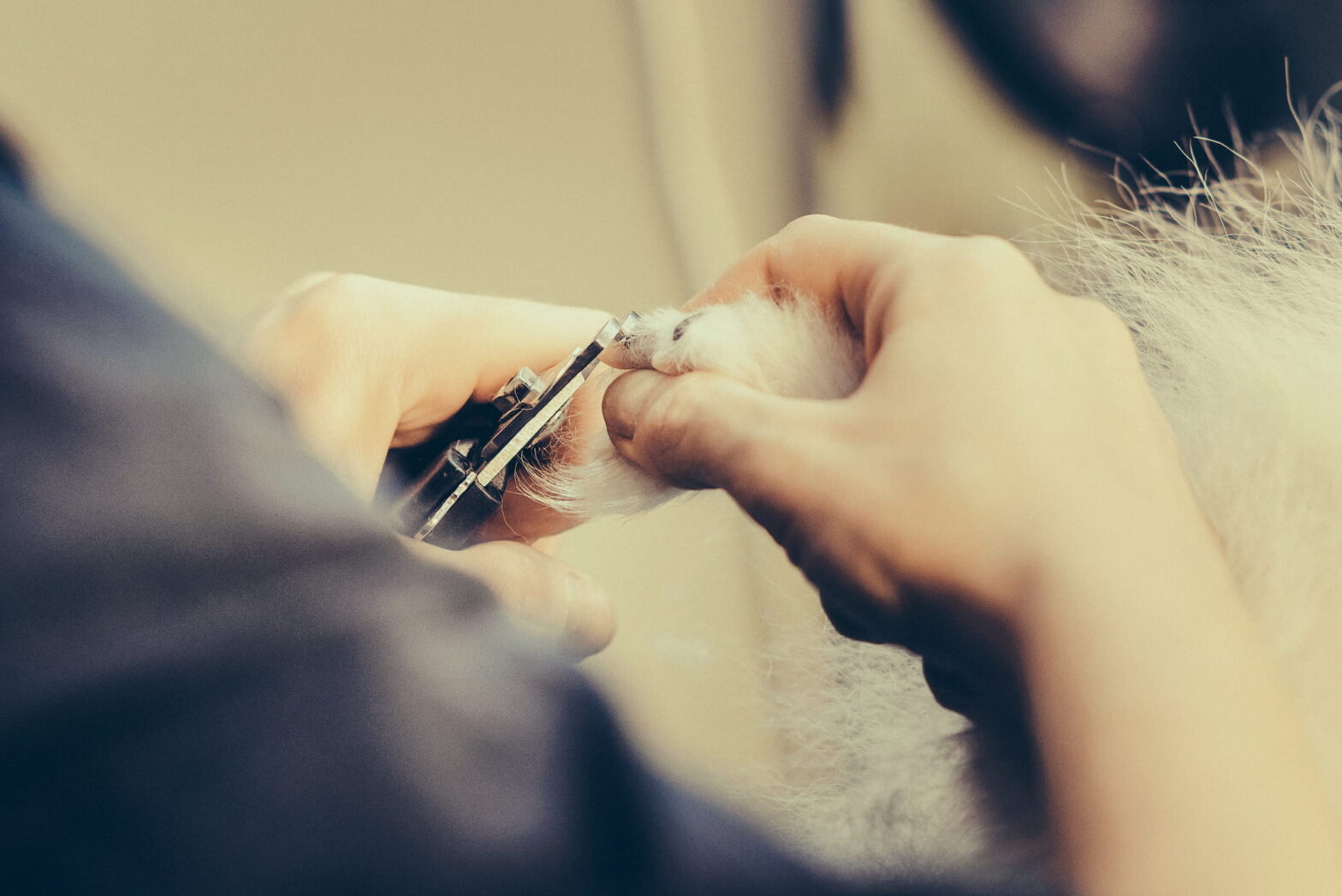 Nail Clipping